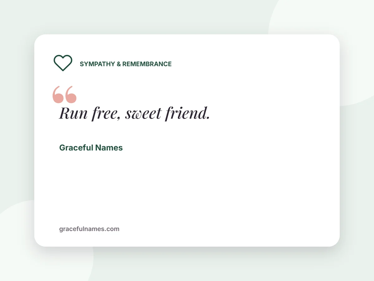 Sympathy & Remembrance card: Run free, sweet friend.