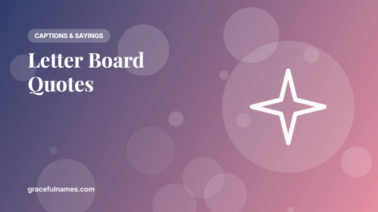 45 Letter Board Quotes for Every Season
