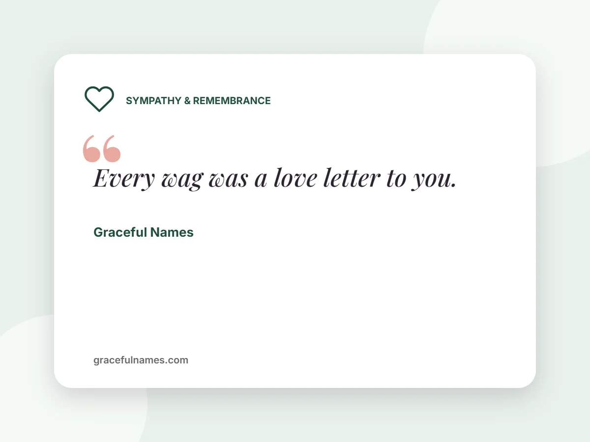Sympathy & Remembrance card: Every wag was a love letter to you.