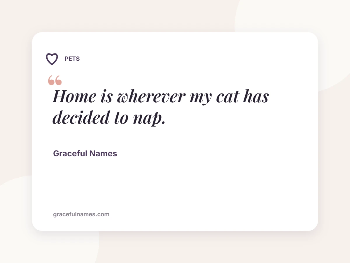 PETS card: Home is wherever my cat has decided to nap.