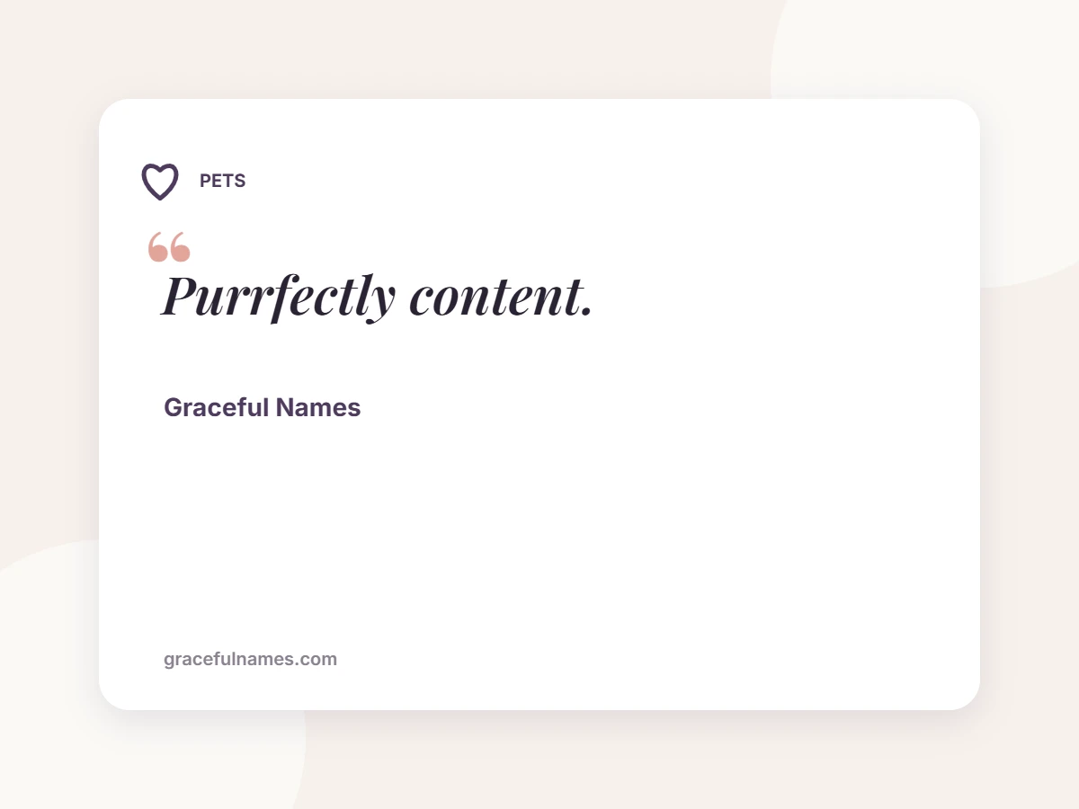 PETS card: Purrfectly content.