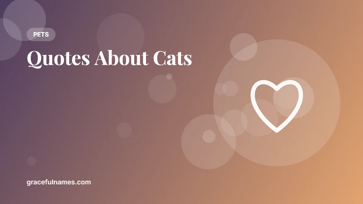 45 Quotes About Cats for Every Cat Lover