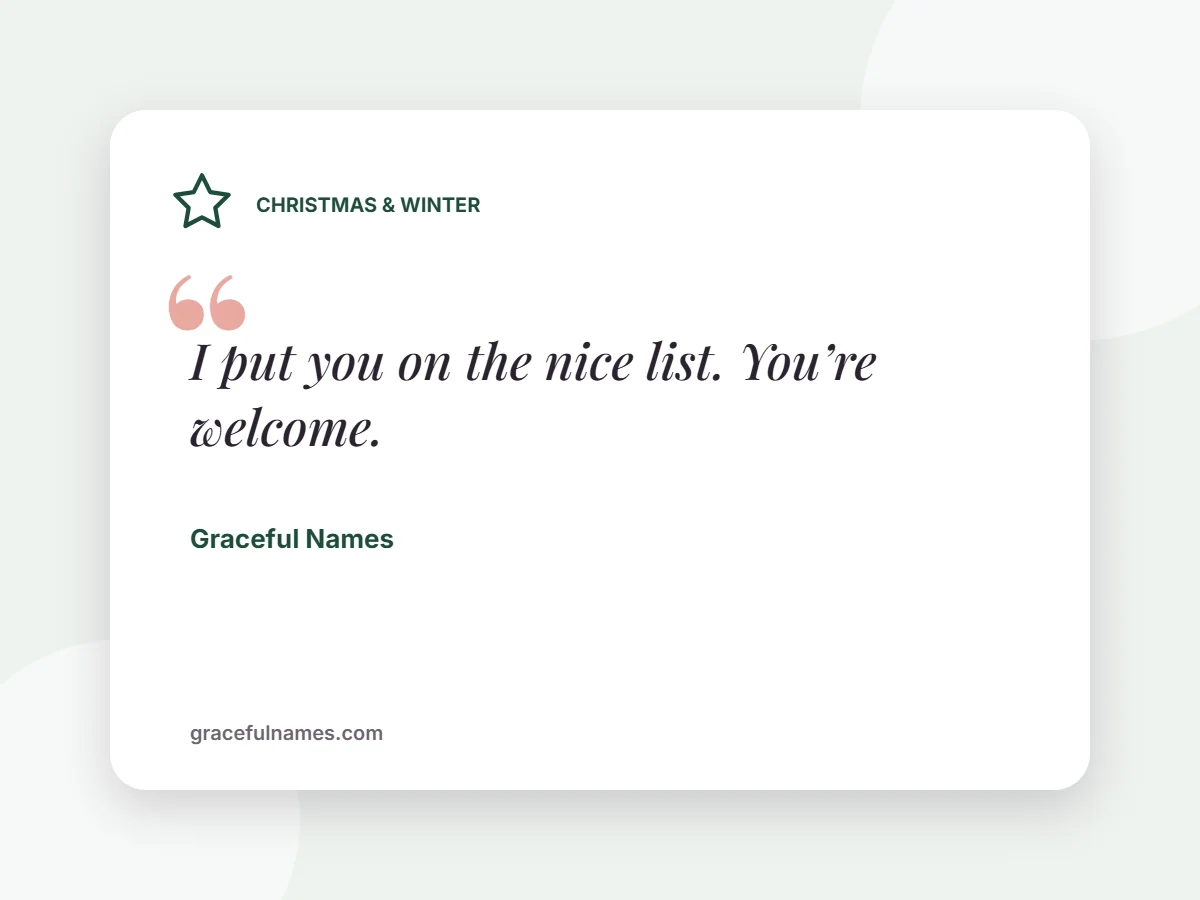 Christmas & Winter card: I put you on the nice list. You’re welcome.