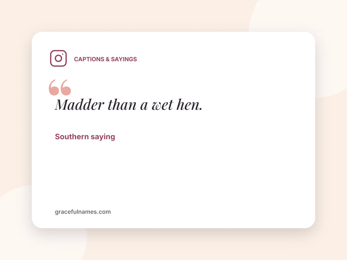 Captions & Sayings card: Madder than a wet hen.